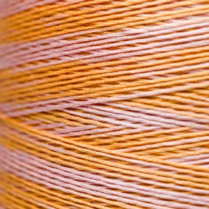 Weeks Dye Works Hand Dyed Cotton Floss 2150 -2249