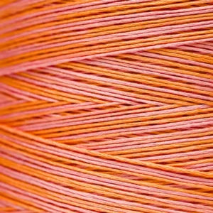 Weeks Dye Works Hand Dyed Cotton Floss 2150 -2249
