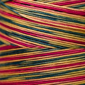 Weeks Dye Works Hand Dyed Cotton Floss 3000 -6899