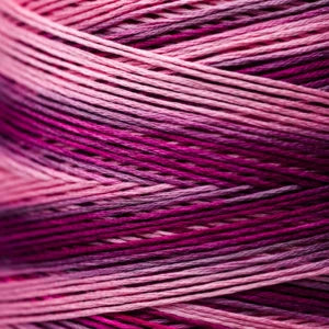 Weeks Dye Works Hand Dyed Cotton Floss 3000 -6899