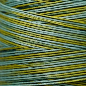 Weeks Dye Works Hand Dyed Cotton Floss 3000 -6899