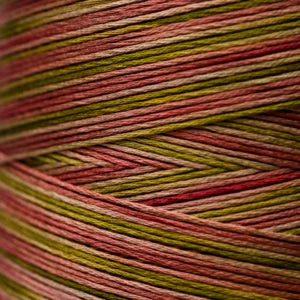 Weeks Dye Works Hand Dyed Cotton Floss 3000 -6899