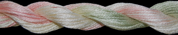 Threadworx Overdyed Floss 01050 - 01099