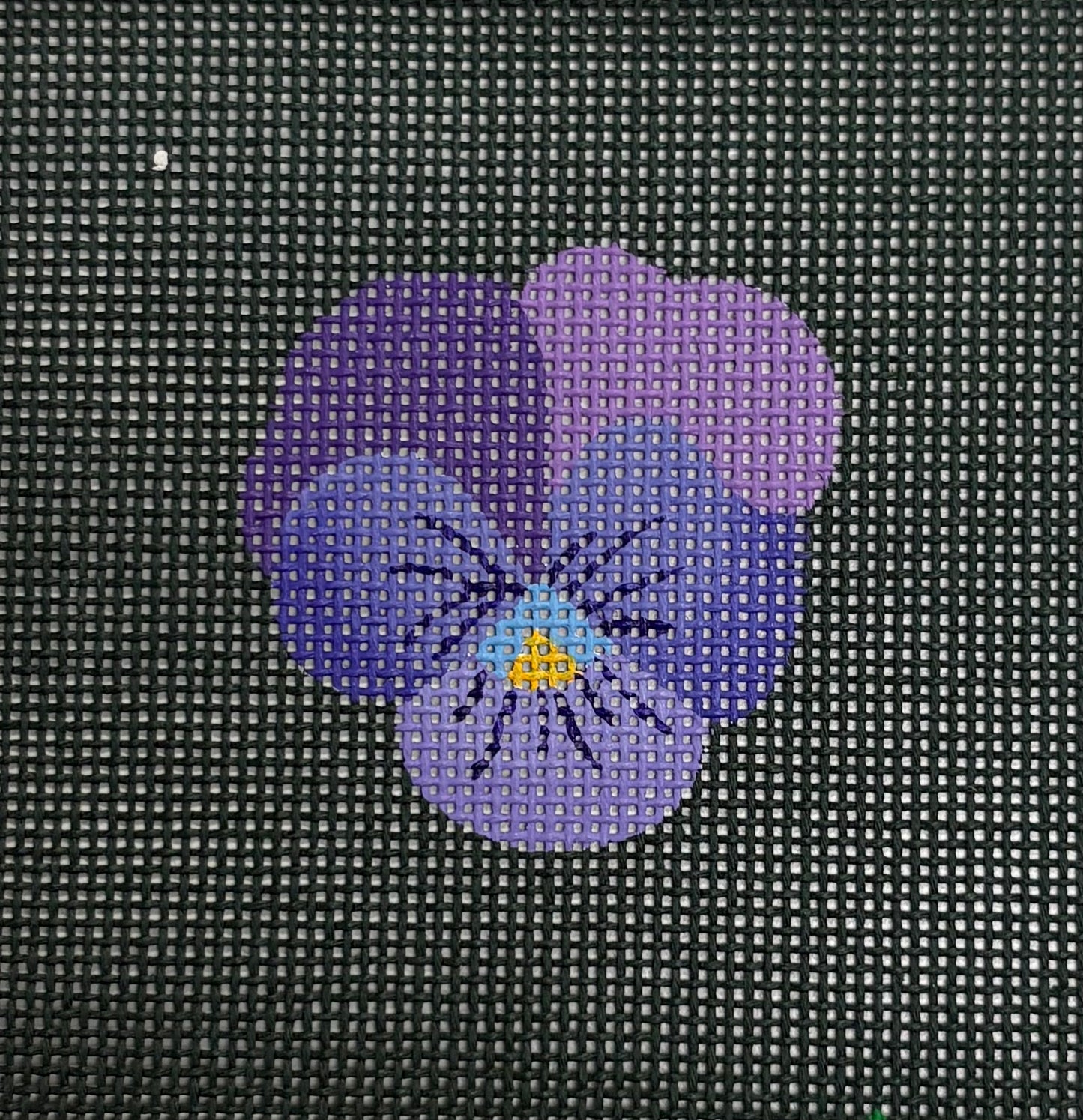 Pansy 978F