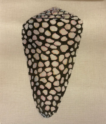 Large Seashell MC523