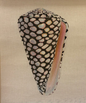 Large Seashell MC522