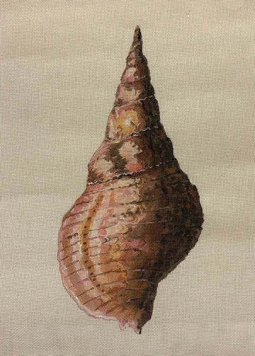 Large Seashell MC521