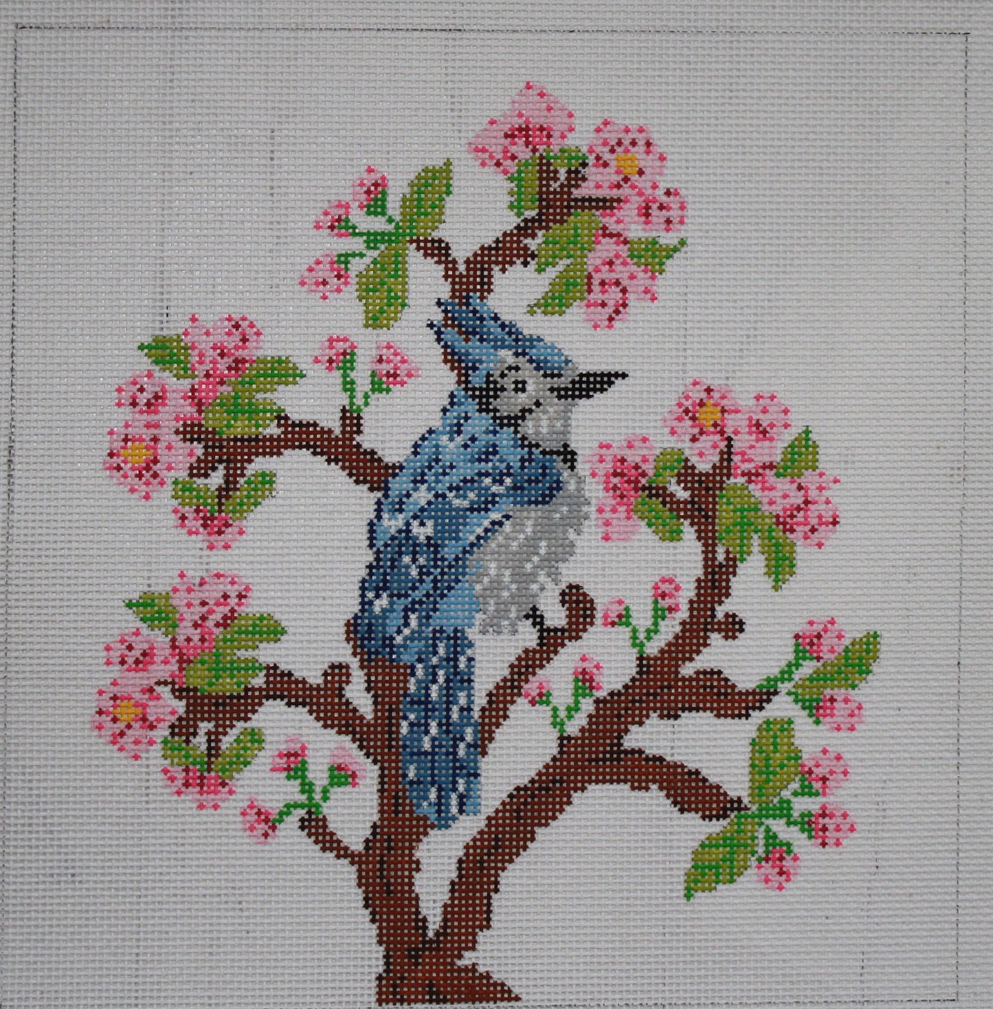 Blue Jay PIL273