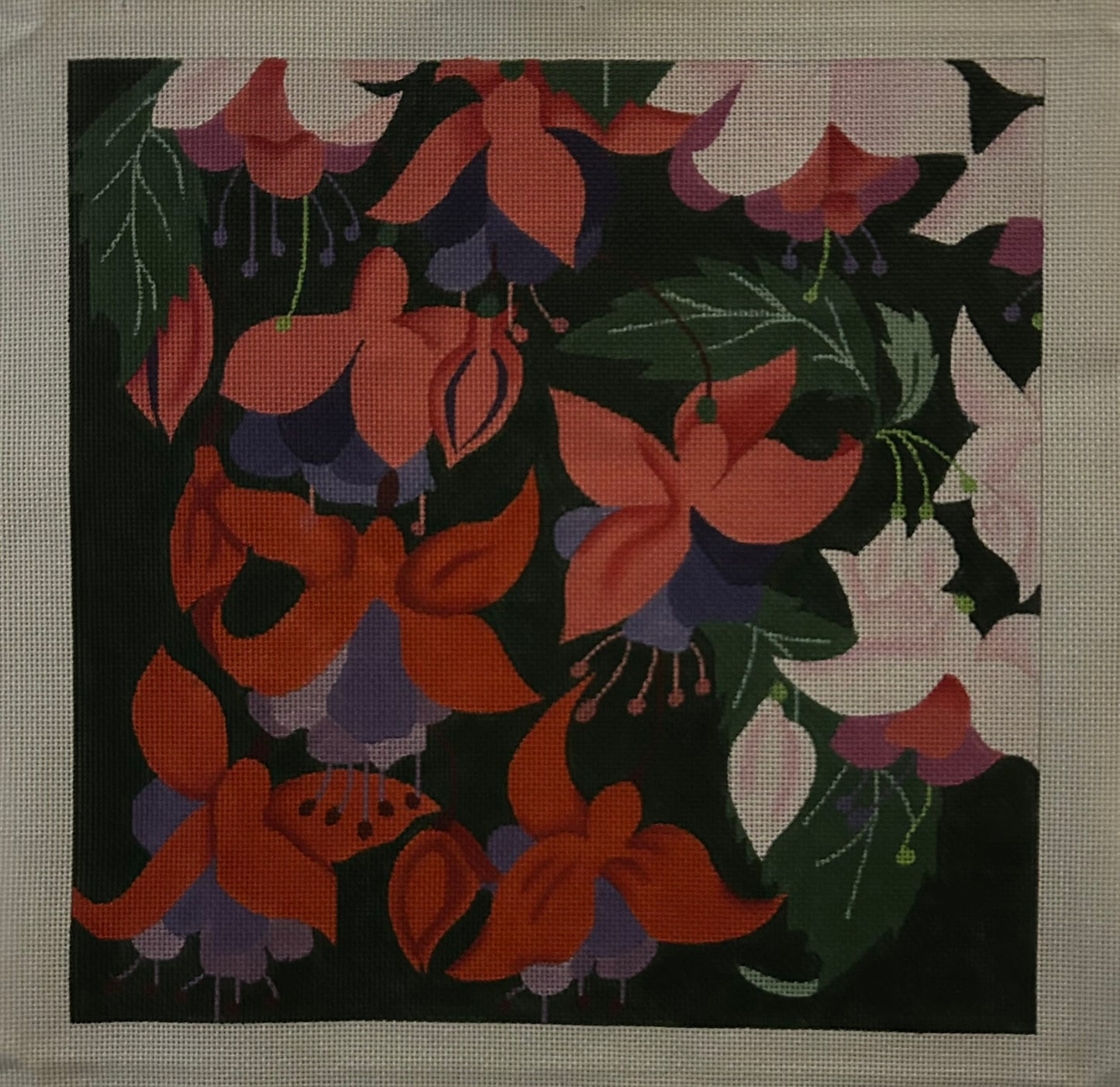 Giant Fuschia 1060