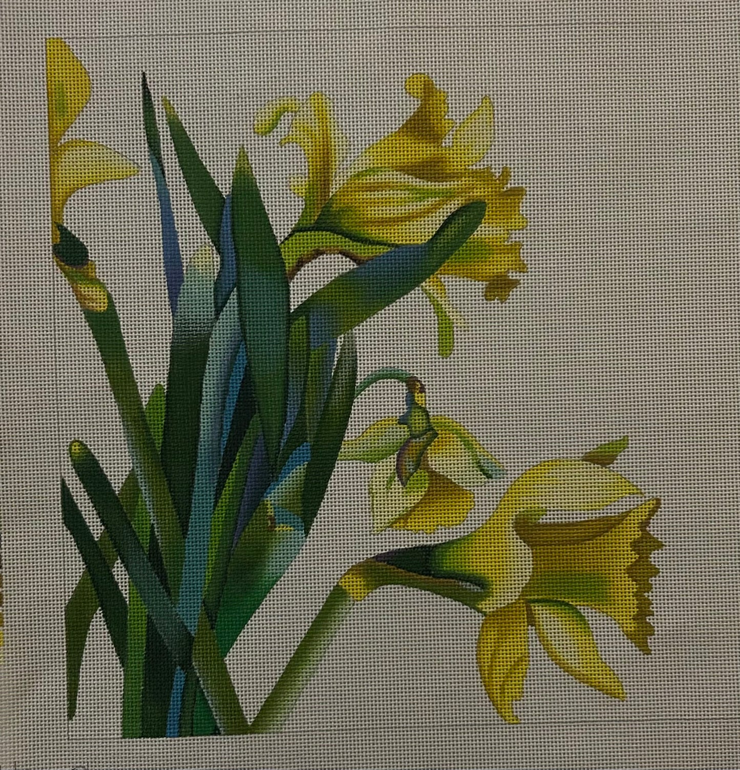 Daffodils NKS-022