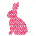 Fuchsia Quatrefoil Standing Hare KC-KEA60-18