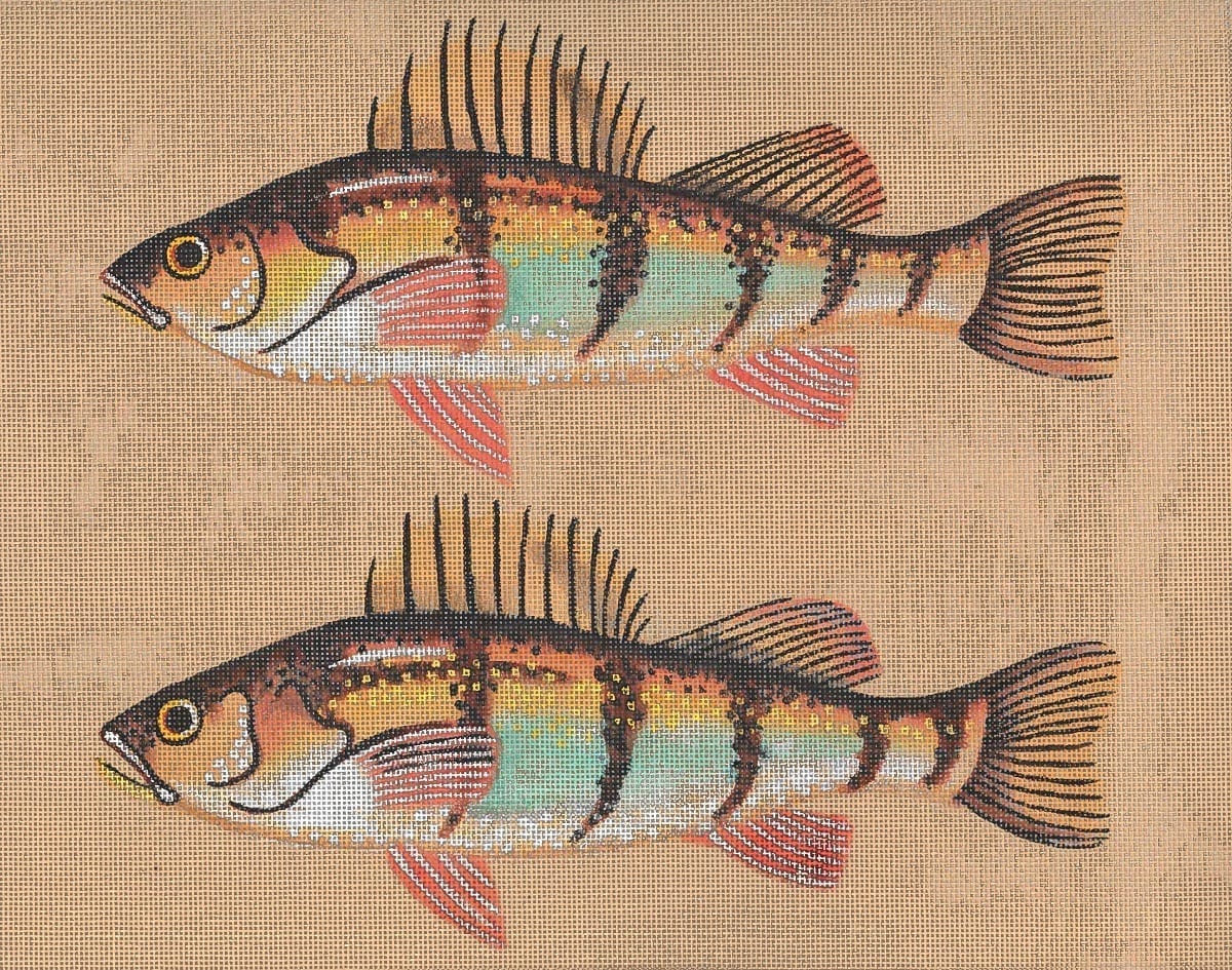 Yellow Perch & Fly LD-4324