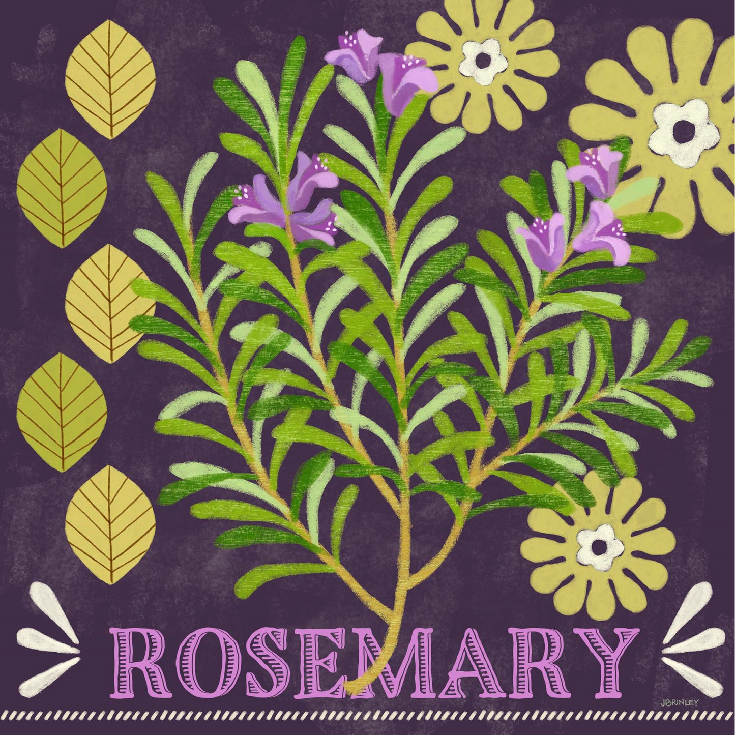 Rosemary M-1926