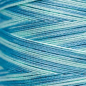 Weeks Dye Works Hand Dyed Pearl Cotton #5 2100 - 4199