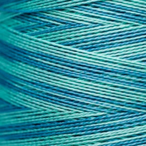 Weeks Dye Works Hand Dyed Pearl Cotton #5 2100 - 4199