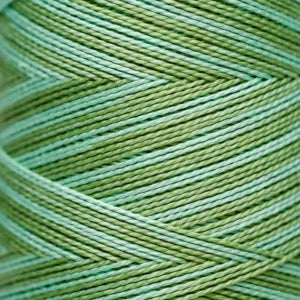 Weeks Dye Works Hand Dyed Pearl Cotton #5 2100 - 4199