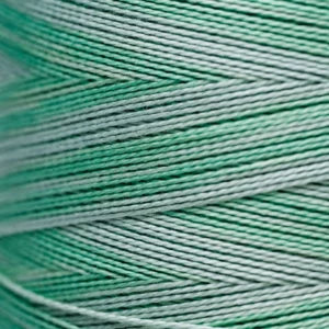 Weeks Dye Works Hand Dyed Pearl Cotton #5 2100 - 4199