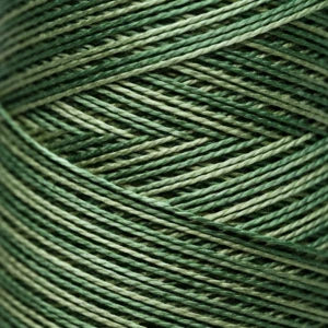 Weeks Dye Works Hand Dyed Pearl Cotton #5 2100 - 4199
