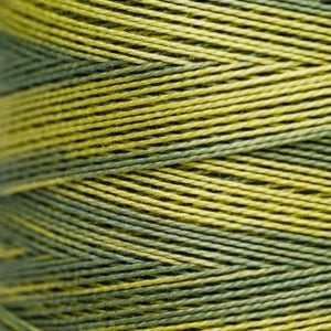 Weeks Dye Works Hand Dyed Pearl Cotton #5 2100 - 4199