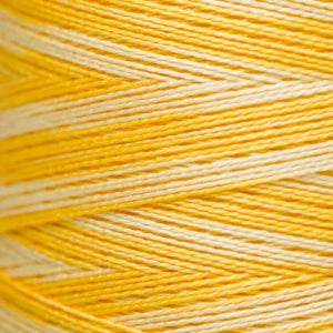 Weeks Dye Works Hand Dyed Pearl Cotton #5 2100 - 4199