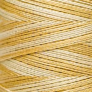 Weeks Dye Works Hand Dyed Pearl Cotton #5 2100 - 4199