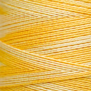 Weeks Dye Works Hand Dyed Pearl Cotton #5 2100 - 4199