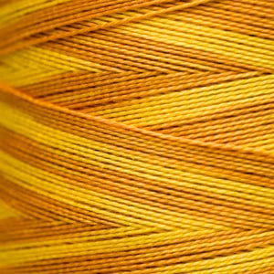 Weeks Dye Works Hand Dyed Pearl Cotton #5 2100 - 4199