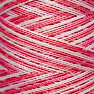 Weeks Dye Works Hand Dyed Pearl Cotton #5 2100 - 4199