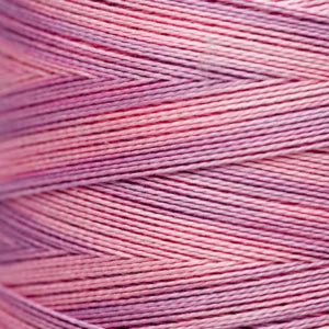 Weeks Dye Works Hand Dyed Pearl Cotton #5 2100 - 4199