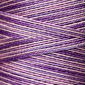 Weeks Dye Works Hand Dyed Pearl Cotton #5 2100 - 4199