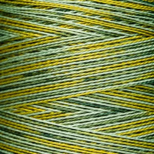 Weeks Dye Works Hand Dyed Pearl Cotton #5 2100 - 4199