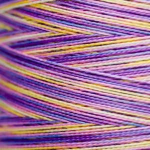 Weeks Dye Works Hand Dyed Pearl Cotton #5 2100 - 4199