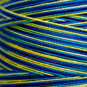 Weeks Dye Works Hand Dyed Pearl Cotton #5 2100 - 4199