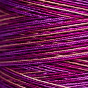 Weeks Dye Works Hand Dyed Pearl Cotton #5 2100 - 4199