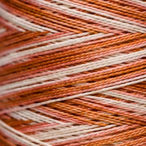 Weeks Dye Works Hand Dyed Pearl Cotton #5 2100 - 4199