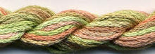 Dinky Dyes Stranded Silk 000 - 099