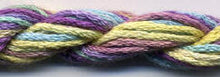 Dinky Dyes Stranded Silk 000 - 099