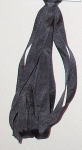 Dinky Dyes 7mm Ribbon 100 - 300