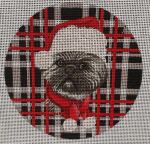 Shih Tzu 301