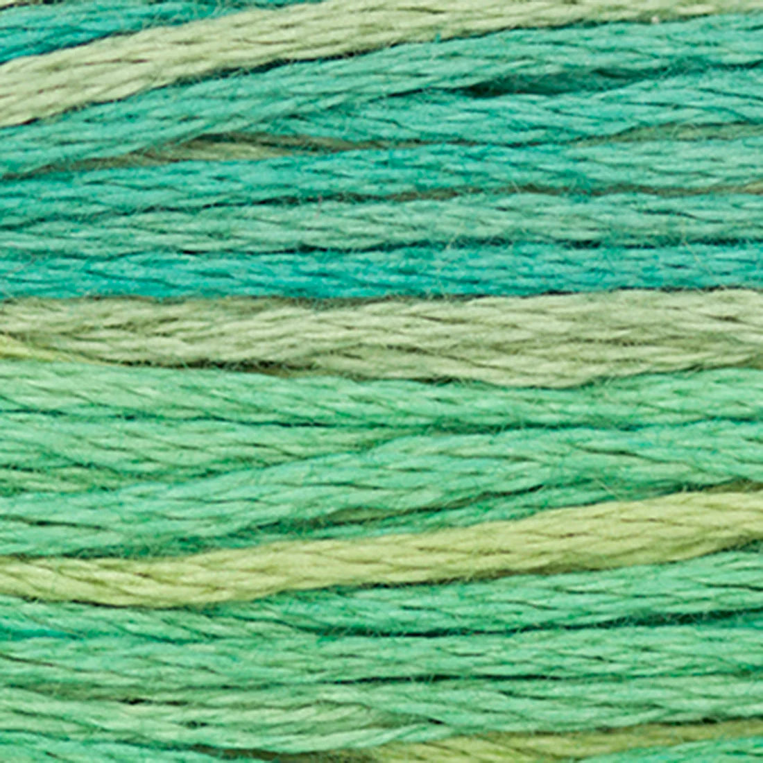 Weeks Dye Works Hand Dyed Cotton Floss 2150 -2249