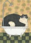 Cat In A Hot Tin Tub WK2013