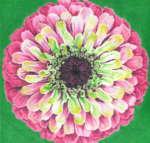 Grenadine Zinnia/ Green Background C-594e