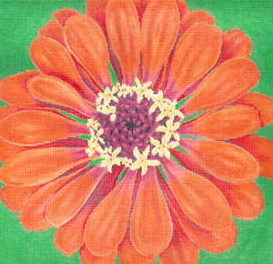 Dark Orange Zinnia/ Green Background C-594f