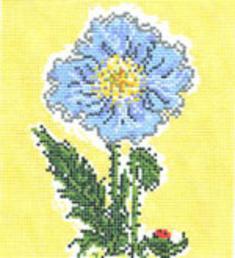 Himalayan Poppy SWB118