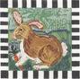Rachel Rabbit MML903