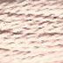 Planet Earth Silk Ply 1200 - 1299