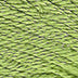 Planet Earth Silk Ply 1200 - 1299