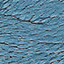 Planet Earth Silk Ply 1200 - 1299