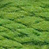 Planet Earth Wool 001 - 099