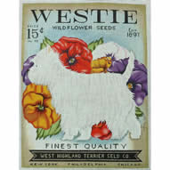 Westie Seed TC-SF-308-13